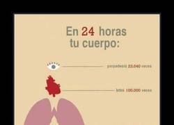 Enlace a AHORA LO ENTIENDO