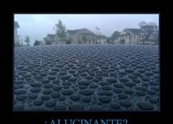 Enlace a ¿ALUCINANTE?