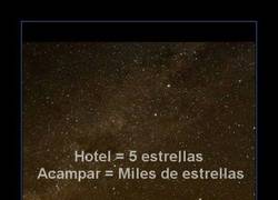 Enlace a LA NATURALEZA