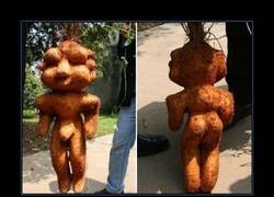 Enlace a POLYGONUM MULTIFLORUM