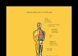 Enlace a La anatomía y hipocresía de los Oscar
