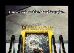 Enlace a Los anuncios del National Geographic cada vez más currados