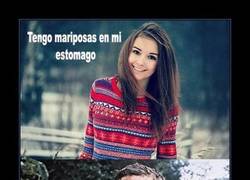 Enlace a BEAR GRYLLS