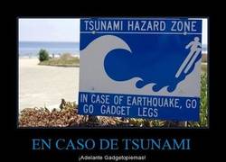 Enlace a EN CASO DE TSUNAMI