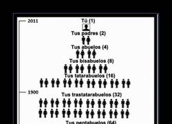 Enlace a Así que cuando los canis se llaman primos entre ellos...