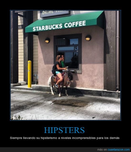 café,Satarbucks,pony,equino,caballo,pequeño,potro,cafeteria,drive thru