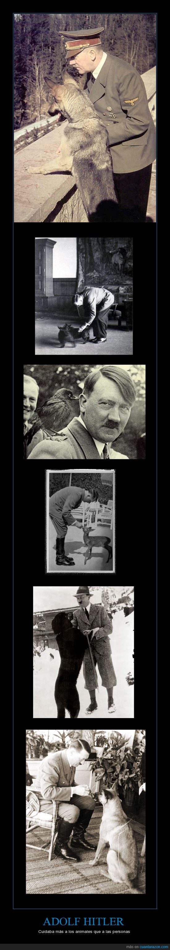 Hitler,animales,perro,amante,vegetariano,persona,odiar