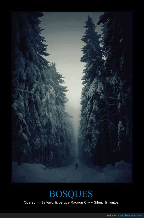 silent hill,terror,miedo,espeluznante,bosque