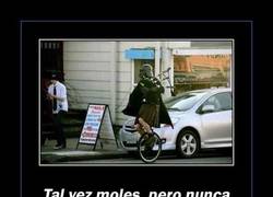 Enlace a ¿Quieres aprender a MOLAR con mayúsculas?