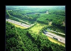 Enlace a Puestos a molestar, mínimo impacto