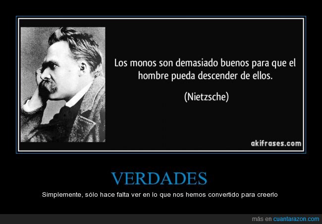 Nietzsche,Friedrich,realidad,verdades,escritor,monos