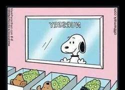 Enlace a El perrete más famoso tiene un hijo, ¿lo encuentras?