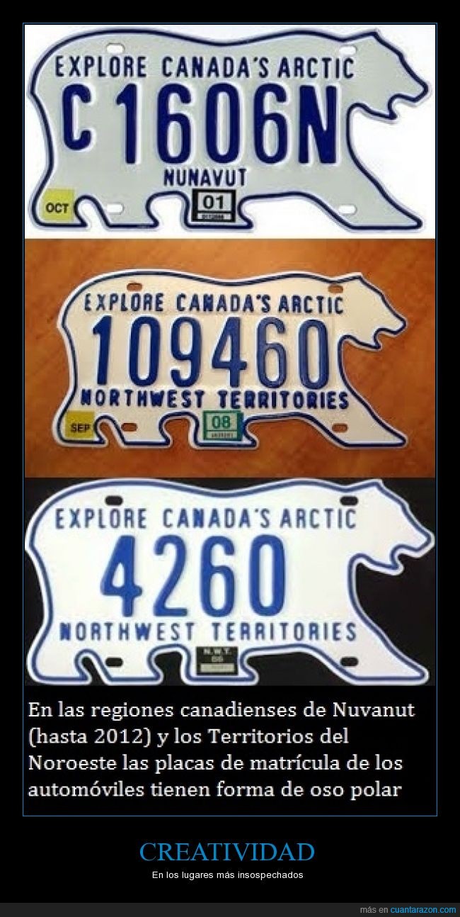Canada,Nuvanut,Nortwest Territories,matrícula,oso polar