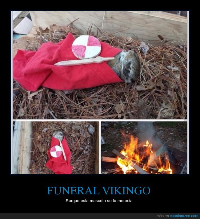 animal indefinido,celtic,fuego,funeral,hamster,herbo,liebre,mascota,muerto,quemado,roedor,vikingo