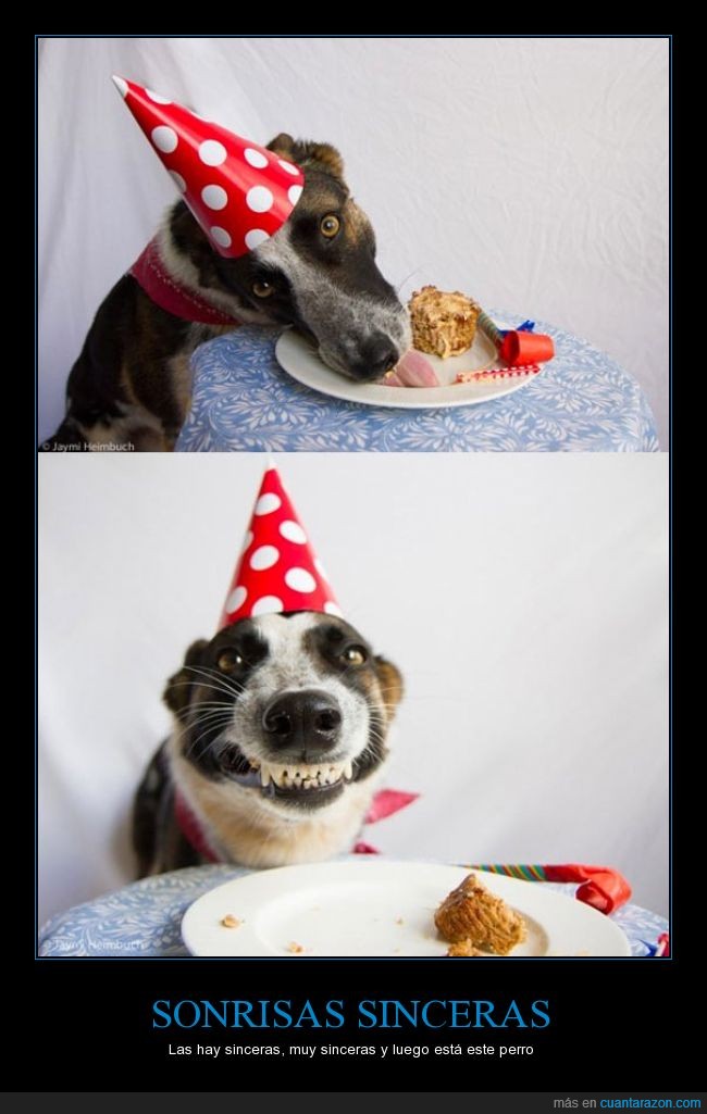 alegría,felicidad,feliz,sonreir,comida,cumpleaños,gorrito,pastel,perro