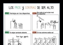 Enlace a Ala qué alto, fijo que juegas a baloncesto...