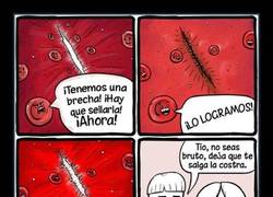 Enlace a ESTATE QUIETO, NIÑO