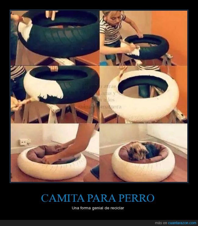 Cuchas de hot sale perros con neumaticos