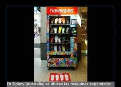 Enlace a Pues si hubiera una de cupcakes cerca, sería mi perdición