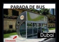 Enlace a Las de mi barrio son más bien como las segundas