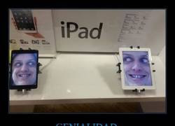 Enlace a Se nota que es modelo, qué mirada, qué todo...