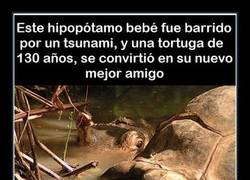 Enlace a Hombre, la piel tiene la misma textura