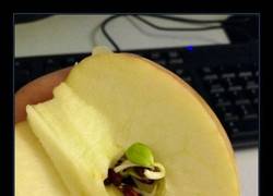 Enlace a ¡Asesino de árboles!