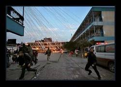 Enlace a Se pone la piel de gallina al ver esta foto