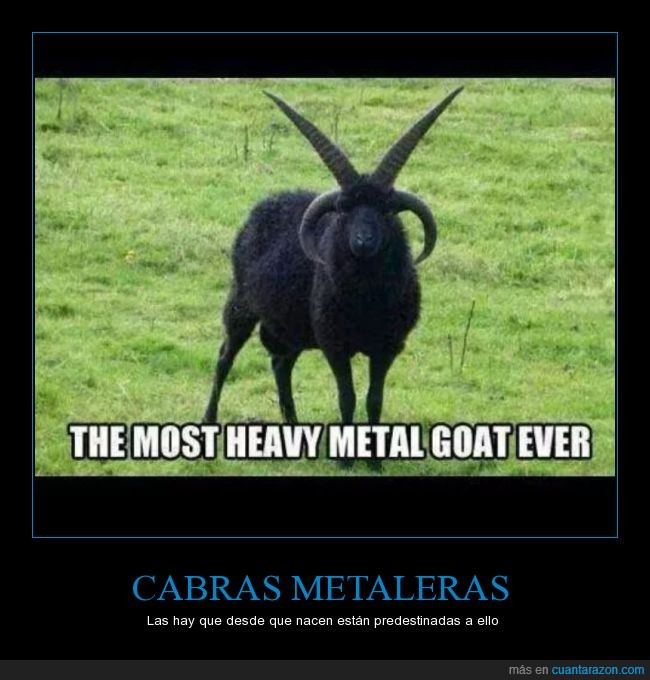 cabra,hevy,cuernos,negro,metal,heavy metal,satanas,satanico,ritual