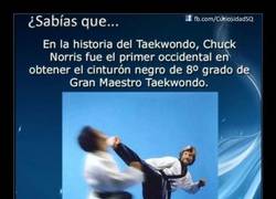 Enlace a La verdad sobre Chuck Norris