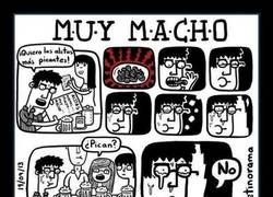 Enlace a Bueno, pican un poco...