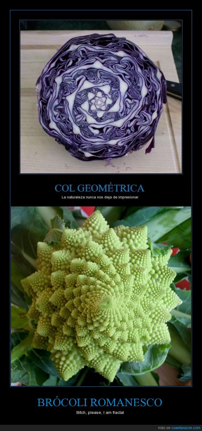 estupido y sensual,brocoli fractal