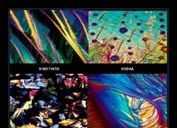 Enlace a ¿ARTE MODERNO?