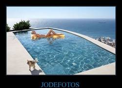 Enlace a JODEFOTOS