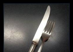 Enlace a Parecen inocentes cubiertos, pero...