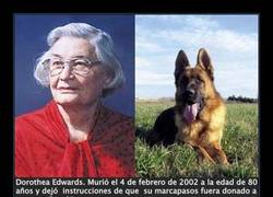 Enlace a Dejo todos mis bienes a...