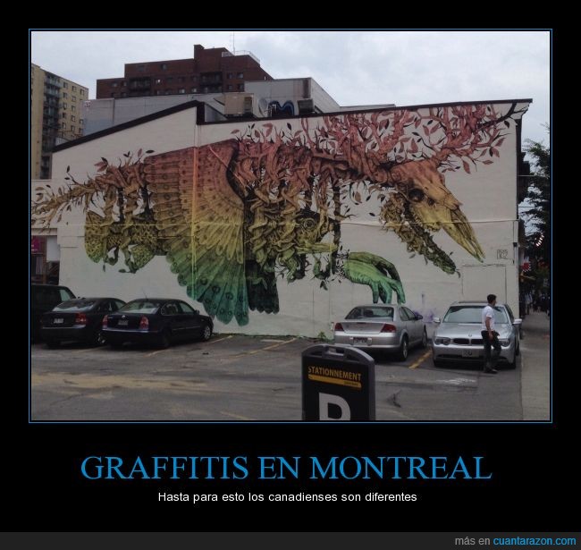 artistico,edificio,pintar,urbano,arte,canada,montreal,graffiti