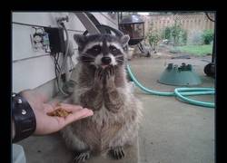 Enlace a ¿EN SERIO?