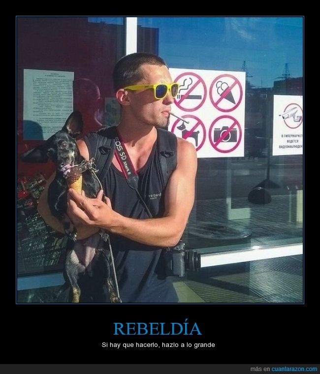 rebelde,normas,perro,helado,fumar,sacar foto
