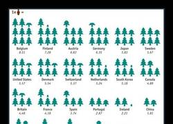 Enlace a ADIÓS PLANETA