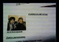 Enlace a CURRICULUM