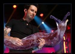 Enlace a Basta de Internet por hoy