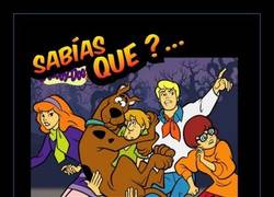 Enlace a SCOOBY DOO