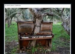 Enlace a CUANDO LA NATURALEZA