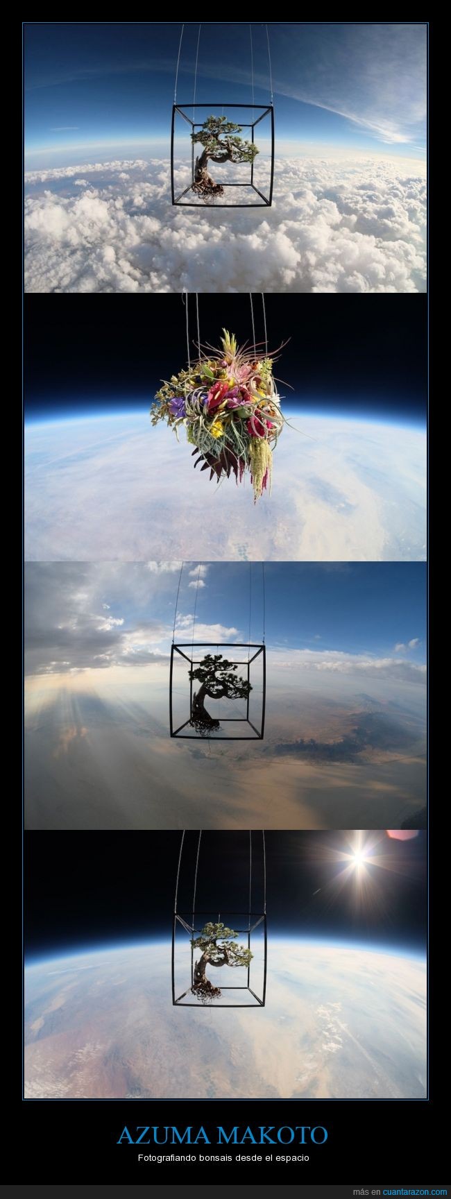 azuma makoto,arte,bonsais,globo,helio,espacio