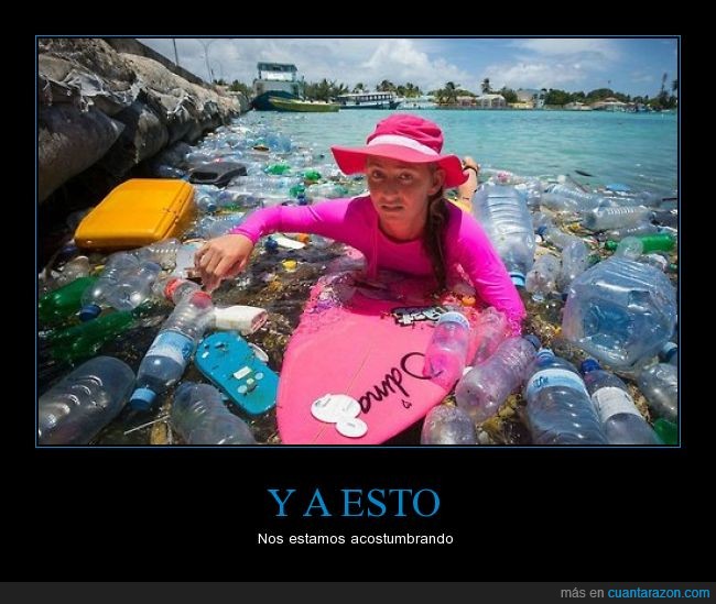 contaminación,basura,pet,plástico,océano,mar,surf,tabla,suciedad