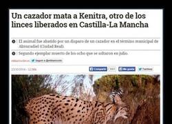 Enlace a IDIOTA + ESCOPETA