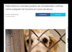 Enlace a IGUALDAD ANIMAL