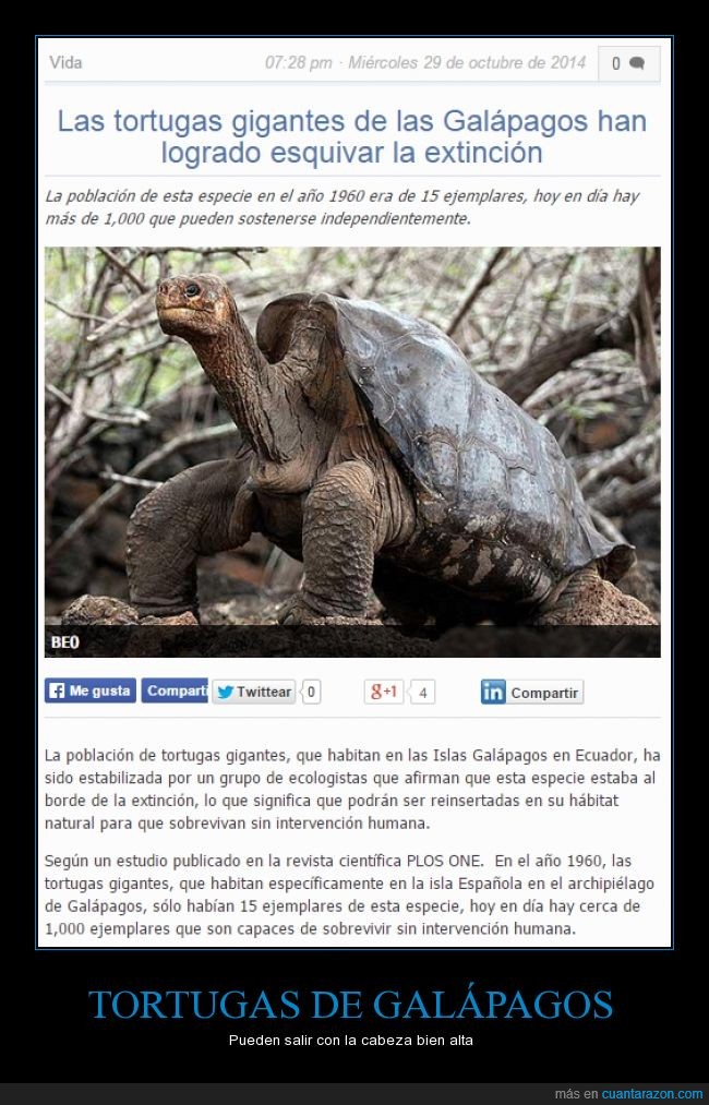 tortuga,galápagos,extinción,esquivar,noticia,buena,superviviencia,ambiente,isla