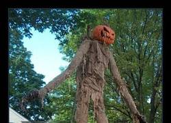 Enlace a CALABAZAS DE HALLOWEEN